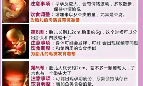 怀孕尿蛋白高对胎儿有影响吗-孕34周尿蛋白4,中国怀孕期间尿蛋白4个加号网站
