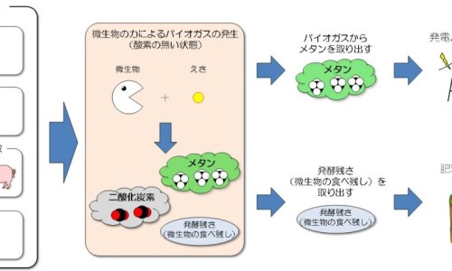 孕妇尿蛋白4800是几个十-怀孕尿蛋白高对胎儿有影响吗-孕34周尿蛋白4,中国怀孕期间尿蛋白4个加号网站