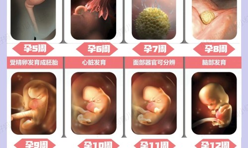 怀孕尿蛋白高对胎儿有影响吗-孕34周尿蛋白4,中国怀孕期间尿蛋白4个加号网站